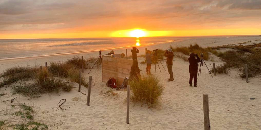 Étude de la migration sur la Pointe de Grave